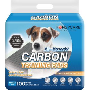 HONEY CARE All-Absorb A55 Puppy Training Pads